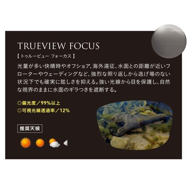 ゼクーカラー Zeque(ゼクー) 偏光サングラス Devon(デヴォン) F-1991