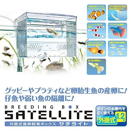 スドー プラスチック 外掛式産卵飼育ボックス サテライト 1.2L用｜trafstore｜04