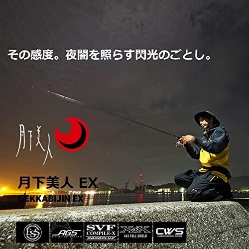 A7人気シール帳 ダイワ(DAIWA) アジング/メバリング 月下美人EX AGS 510UL-S・Q ブラック 【ZYX7220601385】(26229円)