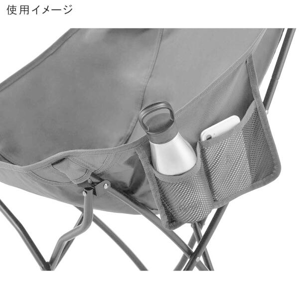 Coleman レア　コンパクトフォールディングチェア 2脚セット　収納バッグ Coleman レア コンパクトフォールディングチェア 2脚セット 収納バッグ