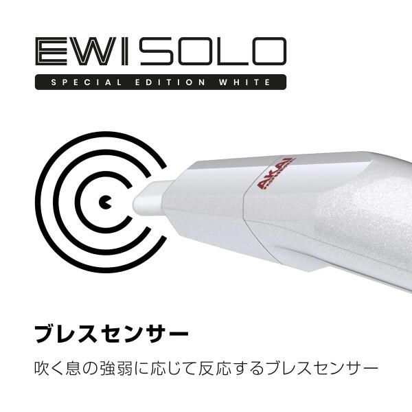 Akai Professional EWI Solo ウインドシンセサイザー 電子管楽器