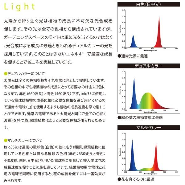 brio(ブリオ) 35専用 LED バルブ ライト 6300k ホワイト｜trafstore｜03