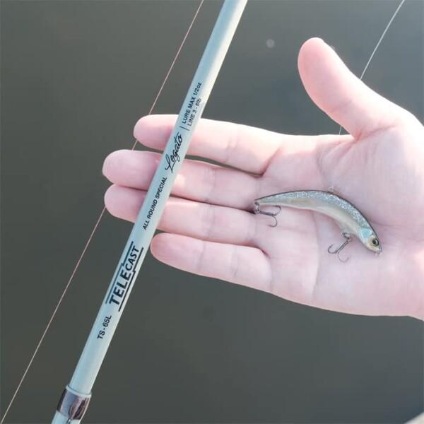 レジットデザイン(Legit Design) テレスキャスト TELE CAST Telecast TS-65L TS Telecast レジットデザイン Legit Design テレスキャスト TELE CAST 65L 96m 5フィート