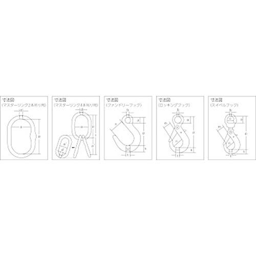 象印チェンブロック　チェーンスリング100(アイタイプ)　2MFFBKE6.3