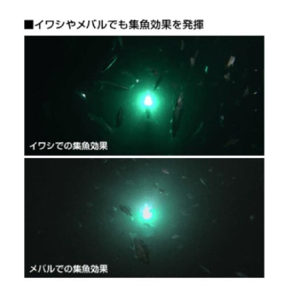 ハピソン LED水中集魚灯 夜釣り YF-500｜trafstore｜03