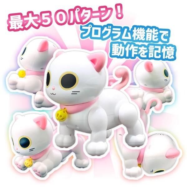 kitty★プロフご覧下さいませ ブブ on X