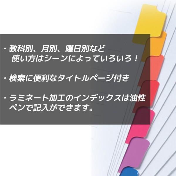 マルマン インデックス B5 26穴 (2穴対応) インデックスシート 12山 1組 10冊 LT5012