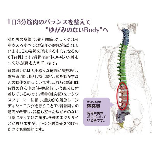 【新品】アクシスフォーマー ソフトロングポール 姿勢改善 ホワイト ストレッチに最適 ポール エクササイズ 姿勢改善／ソフトロング