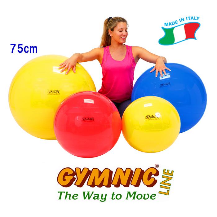 ギムニクボール75 イエロー 直径75cm 身長175cm以上 ギムニク バランスボール D 5433 トレーニングパラダイスyahoo 店 通販 Yahoo ショッピング
