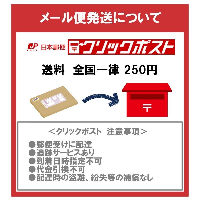 工房さん専用 メール便発送品 THE NORTH FACE（ザ ノースフェイス） 【メール便発送】THE NORTH FACE