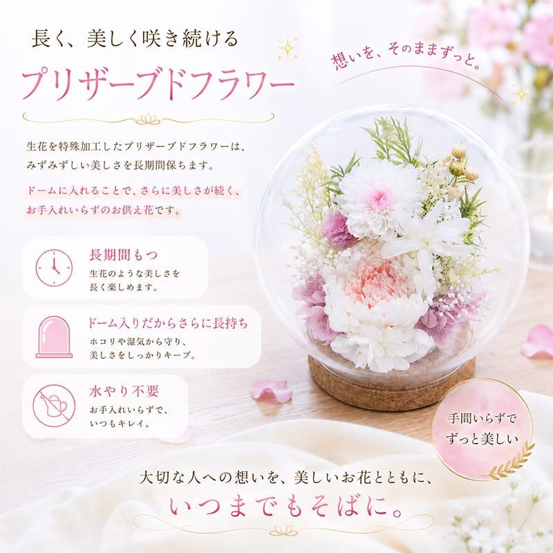 仏花 プリザーブドフラワー お供え お花 お悔やみ お彼岸 仏壇 枯れない 仏花 お供え 花 お悔やみ お盆 新盆 初盆 お彼岸 ペットブリザードフラワー 仏花ドーム |  | 04