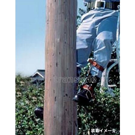 藤井電工 安全帯 木柱用昇柱器 FG-1 墜落防止装置 通信線 配電線 藤井電工 安全帯 木柱用昇柱器 FG-1 墜落防止装置 通信線 配電線