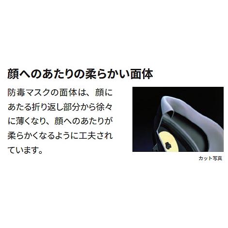 3M 防毒マスク 6500QL-CL2/3（区分2/3兼用） M Lサイズ 防じん防毒併用