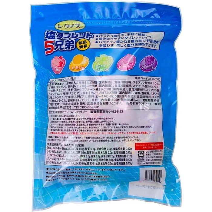 熱中飴 塩タブレット5兄弟 530g×1袋 5味ミックス (HO-334) 熱中症対策