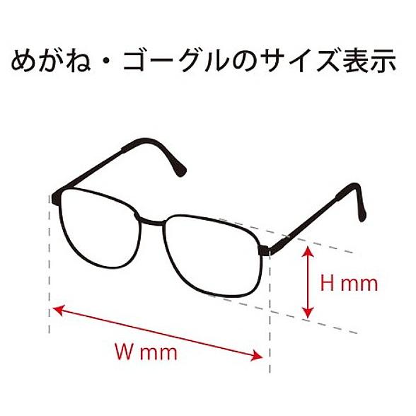 保護メガネ ゴーグル リチャード RICHRD (ホワイトフレーム) 透明