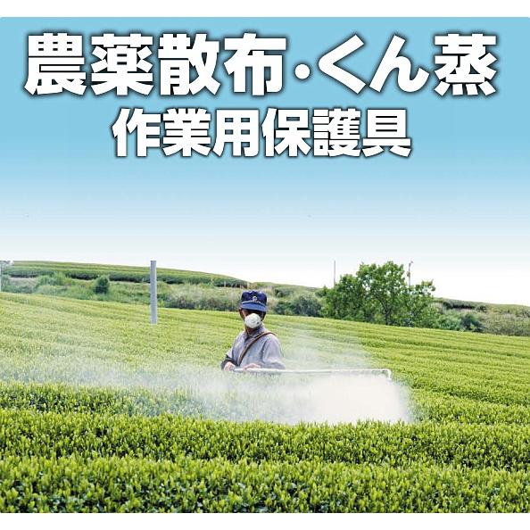 重松 TW01農薬マスクセット 12210 有機ガス用吸収缶 T2フィルター付