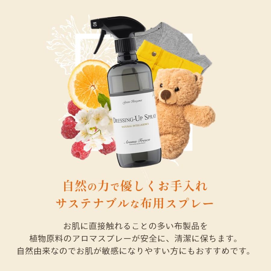 Aroma Fresco アロマフレスコ ドレッシング アップ スプレー 480mL |  | 03