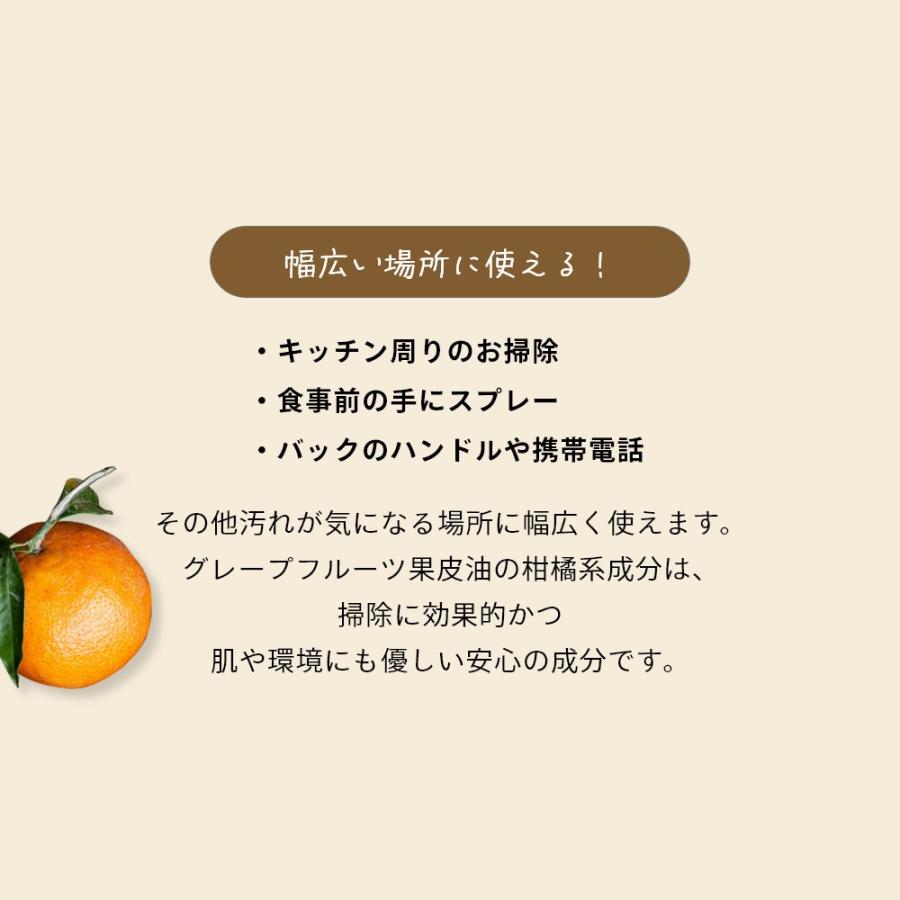 Aroma Fresco アロマフレスコ キープ クリーン&セーフスプレー GB 480mL |  | 03