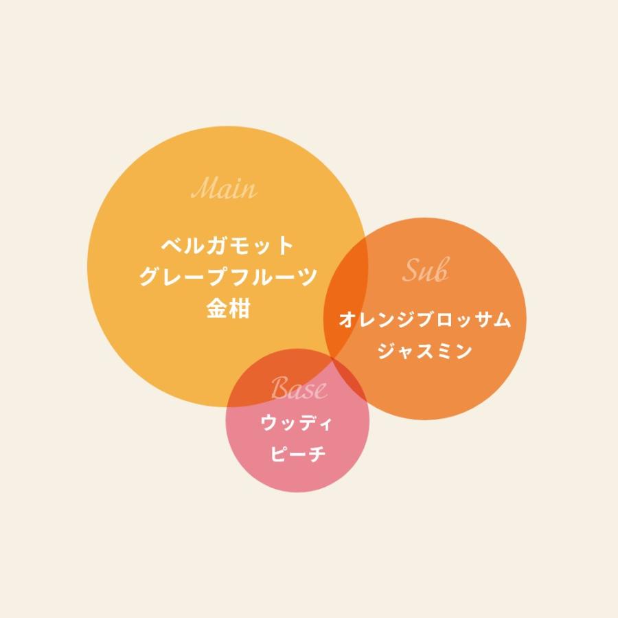 Aroma Fresco アロマフレスコ キッチンクリーン セット 480mL |  | 09