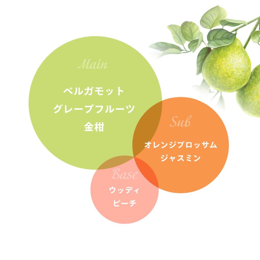 Aroma Fresco アロマフレスコ キッチン ラバーズ セット パイル |  | 10