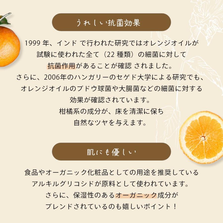 Aroma Fresco アロマフレスコ セーフティ フロアー クリーナー GB 480mL |  | 05