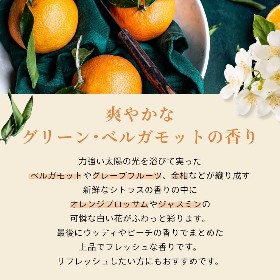 Aroma Fresco アロマフレスコ セーフティ フロアー クリーナー GB 480mL |  | 07