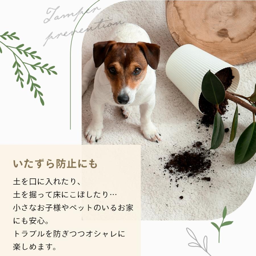 amabro（アマブロ） 鉢カバー ウッドサークルトレイ Lサイズ