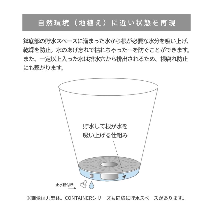 amabro アートストーン コンテナ スクエア M 55型 四角形 鉢 プランター 貯水タイプ 水 やり忘れ防止 ART STONE ガーデニング｜transit｜07