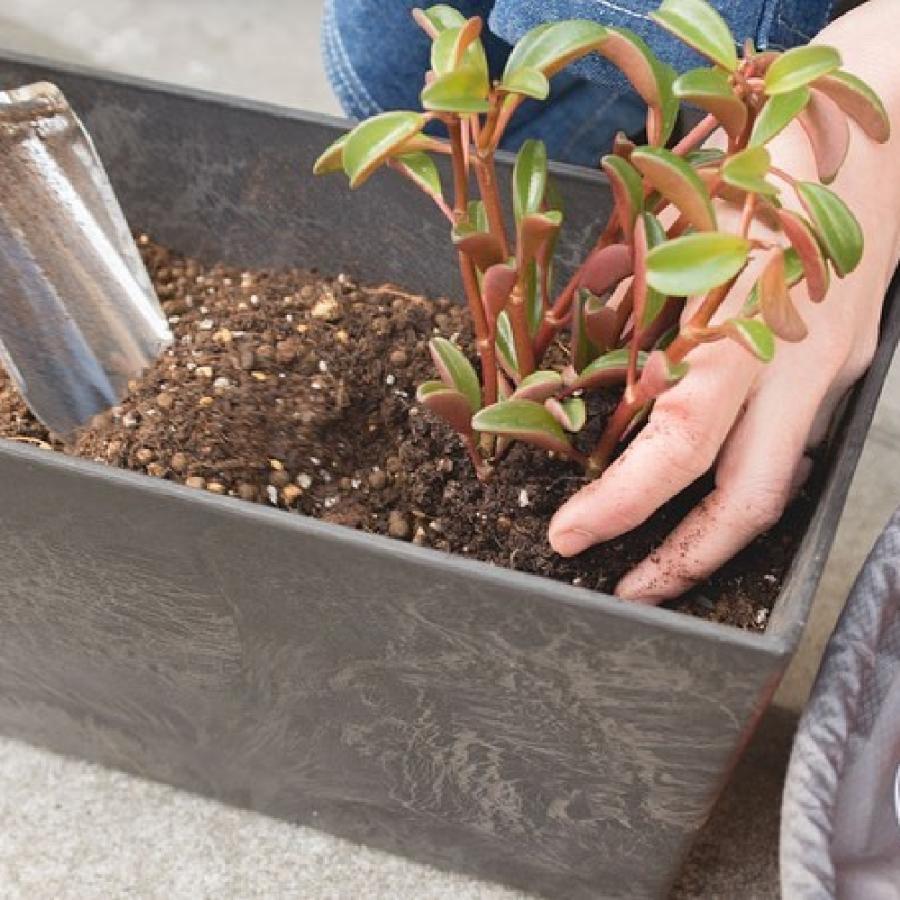 amabro アートストーン コンテナ スクエア S 36型  四角形 鉢 プランター 貯水タイプ 水 やり忘れ防止 ART STONE ガーデニング | amabro | 10