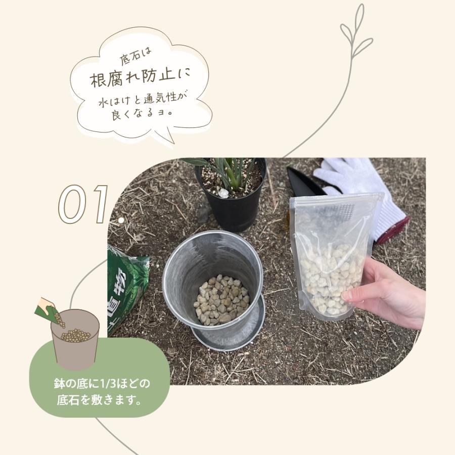 amabro（アマブロ） アートストーン プランター SS 鉢 5-6号 貯水