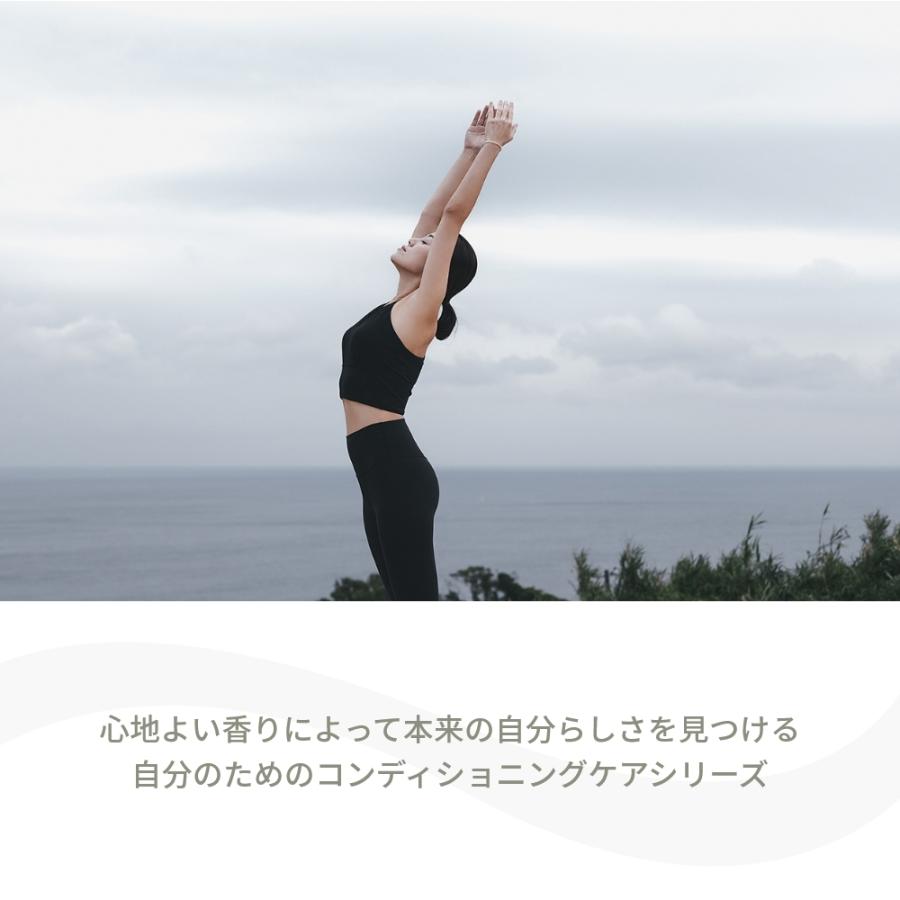 アットアロマ ファブリックミスト 200ml バランシングマインド 消臭 抗菌 @aroma |  | 03