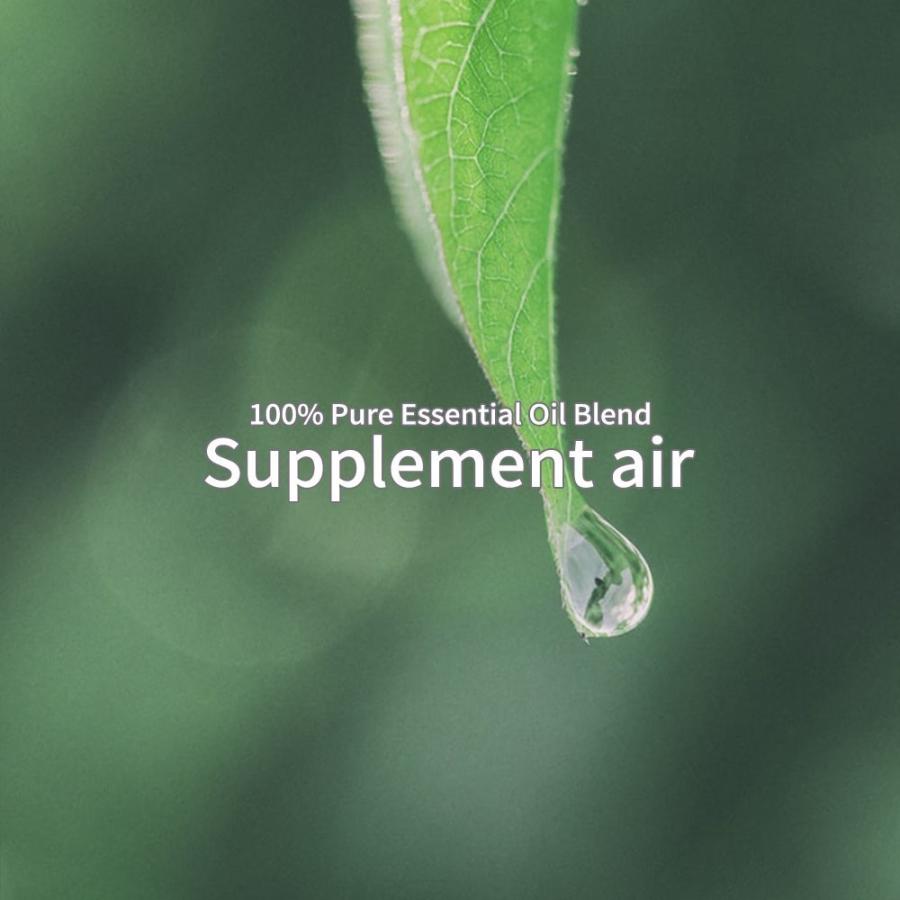 アットアロマ ピエゾアロマオイル 100ml サプリメントエアー solo用 S01 S03 S05 S06 S08 | アットアロマ | 01