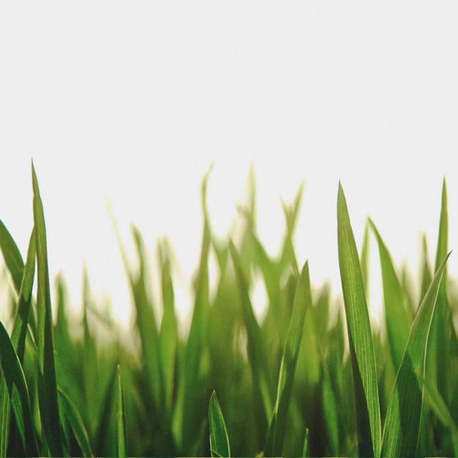 アットアロマ アロマオイル アロマブランチ＆スティックディフューザー用 450ml B02 B04 B17 @aroma Botanical air | アットアロマ | 05