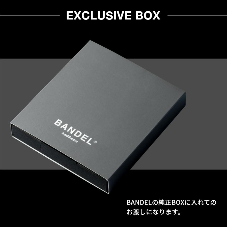 新品未使用】BANDEL ネックレス シルバー 65cm 専用ポーチ・箱付き BANDEL（バンデル） ネックレス Healthcare Necklace V1 HLCV 磁気