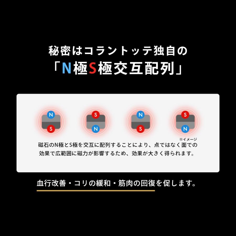 正規販売店 Colantotte SPORTS コラントッテ スポーツ モックネックシャツ リカバリーウェア ゴルフウェア モックネック 半袖 Tシャツ メンズ 磁気 医療機器 | ColanTotte | 06