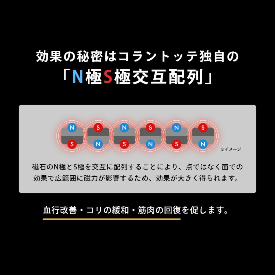 Colantotte コラントッテ  TAO ネックレス α タオ アルファ VEGANEXT ベガネクスト マットブラック 磁気ネックレス 医療機器 | TAO | 04