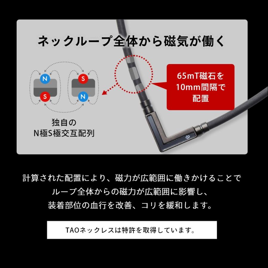 Colantotte コラントッテ  TAO ネックレス α タオ アルファ VEGANEXT ベガネクスト マットブラック 磁気ネックレス 医療機器 | TAO | 05