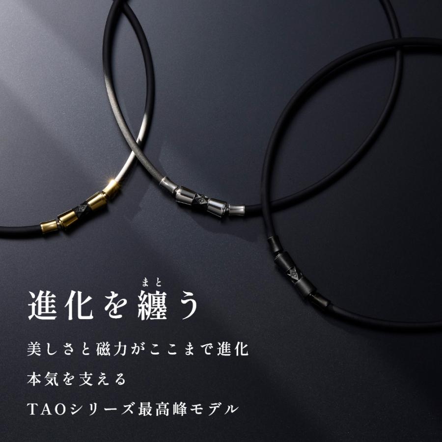 ColanTotte（コラントッテ） 磁気ネックレス TAO series LIONE リオネ