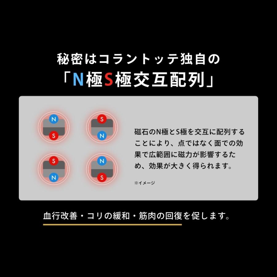 Colantotte コラントッテ スポーツ アームスリーブ Sports ARM SLEEVE  医療機器 | ColanTotte | 04