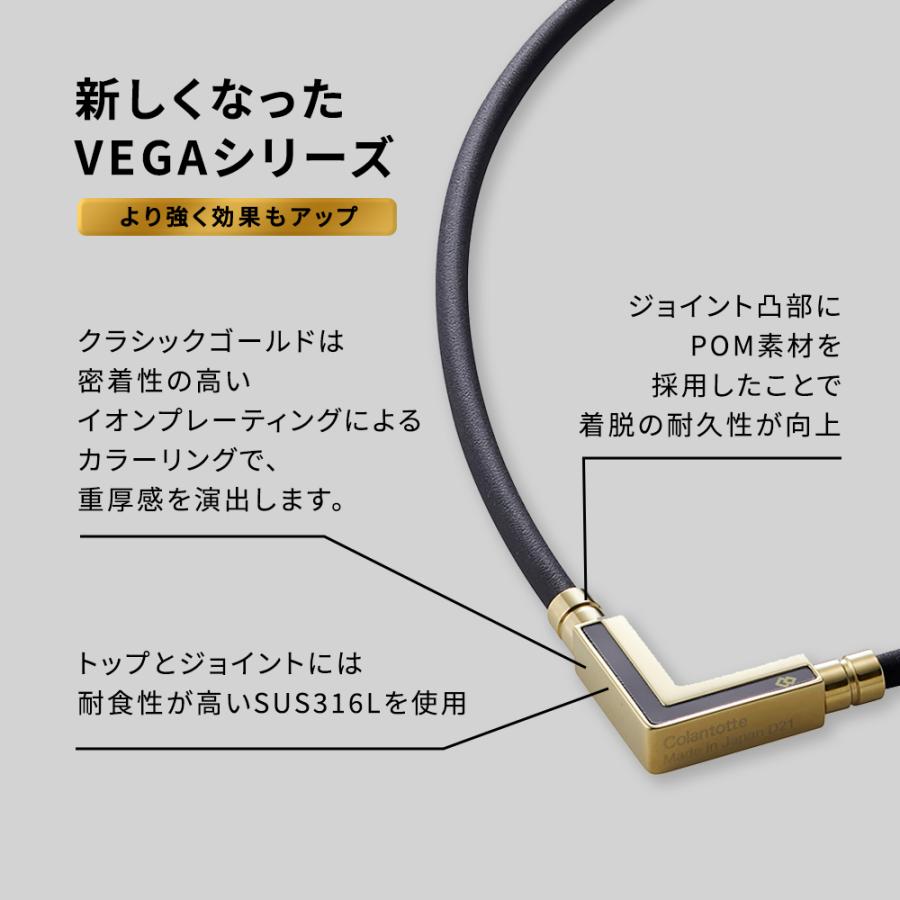 TAO Colantotte コラントッテ ネックレス α タオ アルファ VEGANEXT