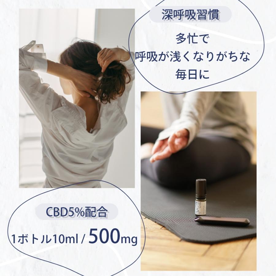 エリクシノール レスピラ＆KIWI Spark CBDオイル+VAPEペン レスピラ500