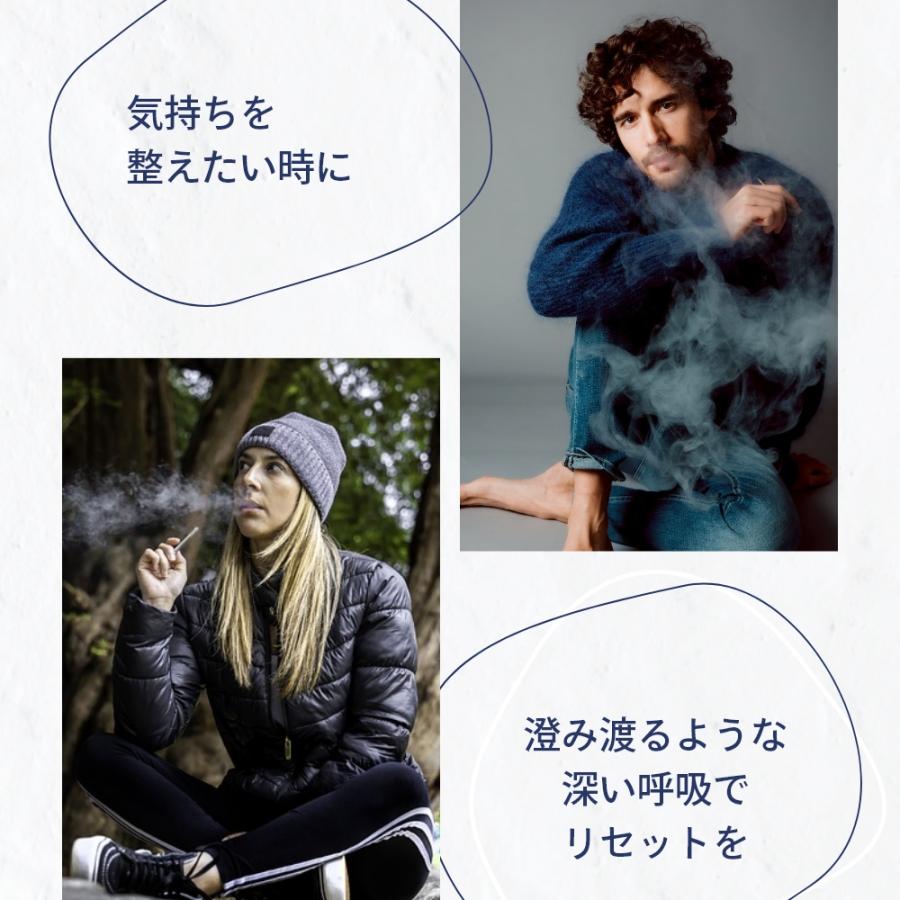 エリクシノール レスピラ＆KIWI Spark CBDオイル+VAPEペン レスピラ500