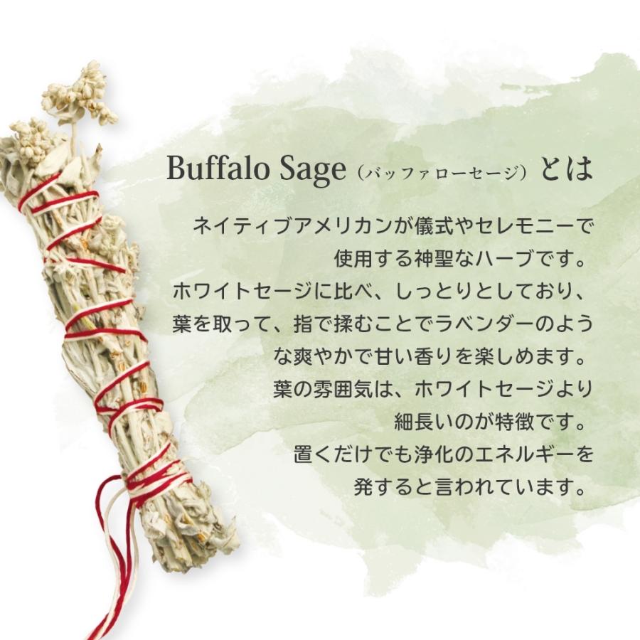 フォートメント Foretment パロサント ピュリフィケーションパック 浄化セット Purification Pack | Foretment | 03