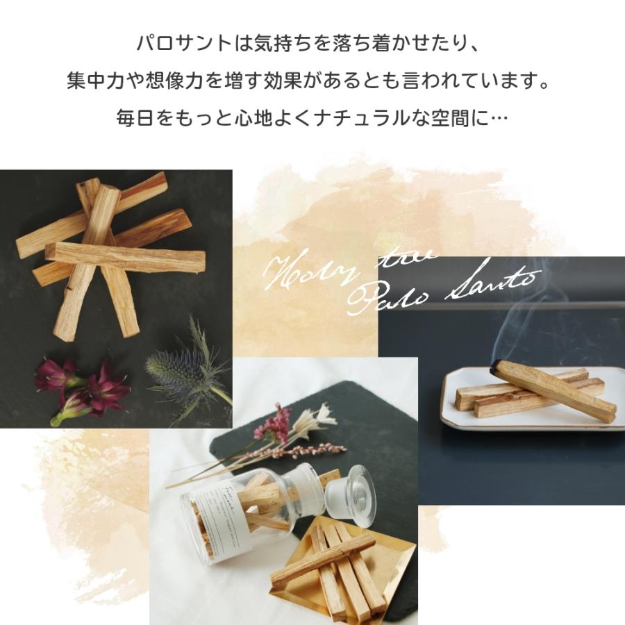 フォートメント パロサント スティック 袋入り Foretment Palosanto stick | Foretment | 05