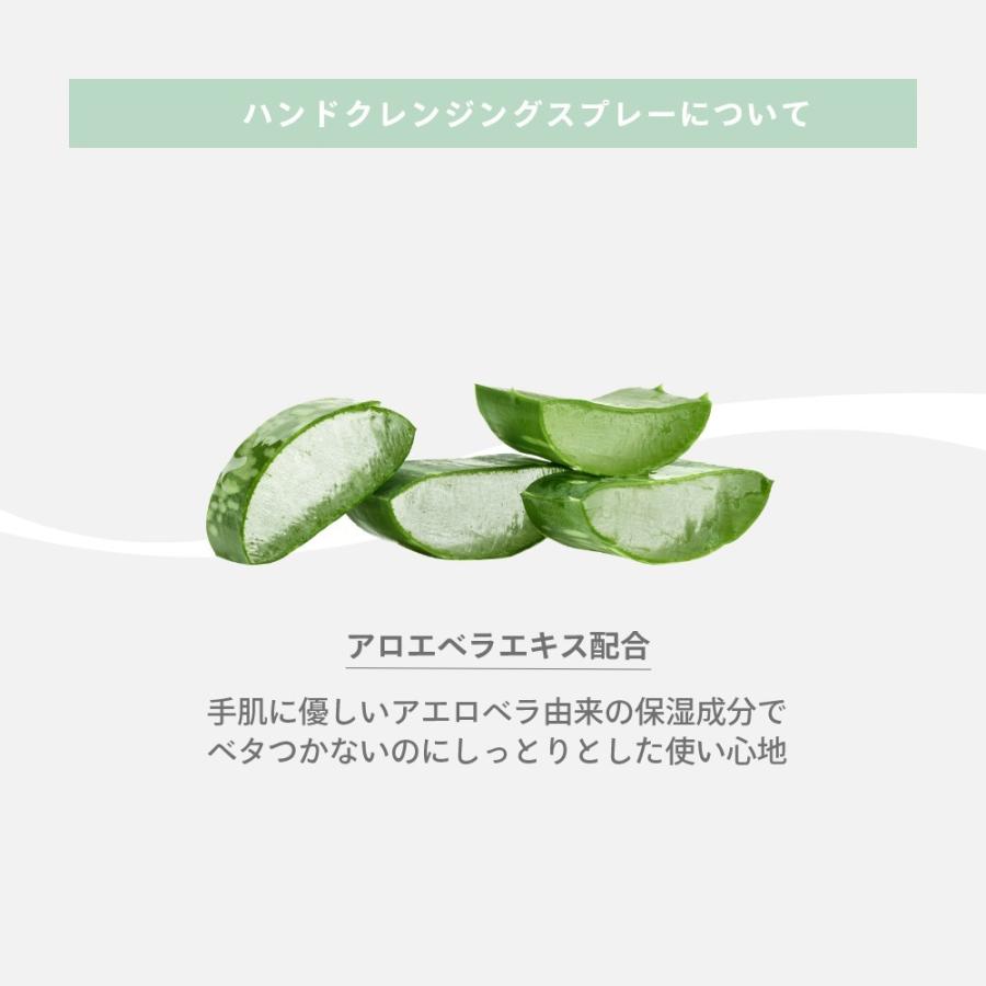 HAAN ハーン 本体+専用ケースセット アルコール消毒 手指消毒 除菌スプレー 保湿 アロエベラ成分配合 | HAAN | 06