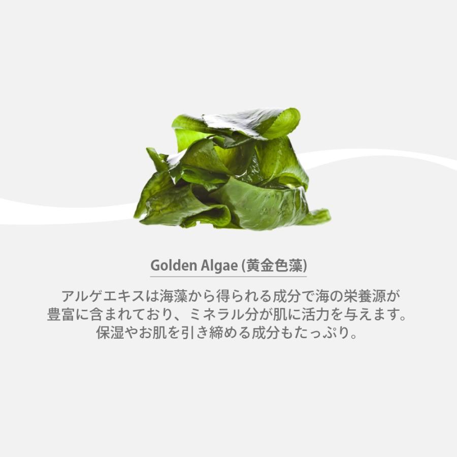HAAN ハーン ハンドクリーム 96％天然由来 植物性 プレバイオティクス ヘミスクワレン ヘミスクアレン | HAAN | 07