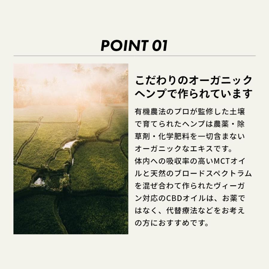 hemptouch ヘンプタッチ CBDオイル ゴールド 3%濃度 CBD含有量300mg 内容量10ml ブロードスペクトラム |  | 06