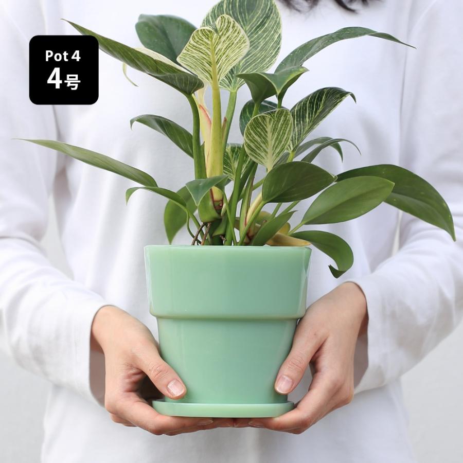 ideaco イデアコ ミルクガラス プランターポット 4号 鉢 受け皿付き | ブランド登録なし | 12