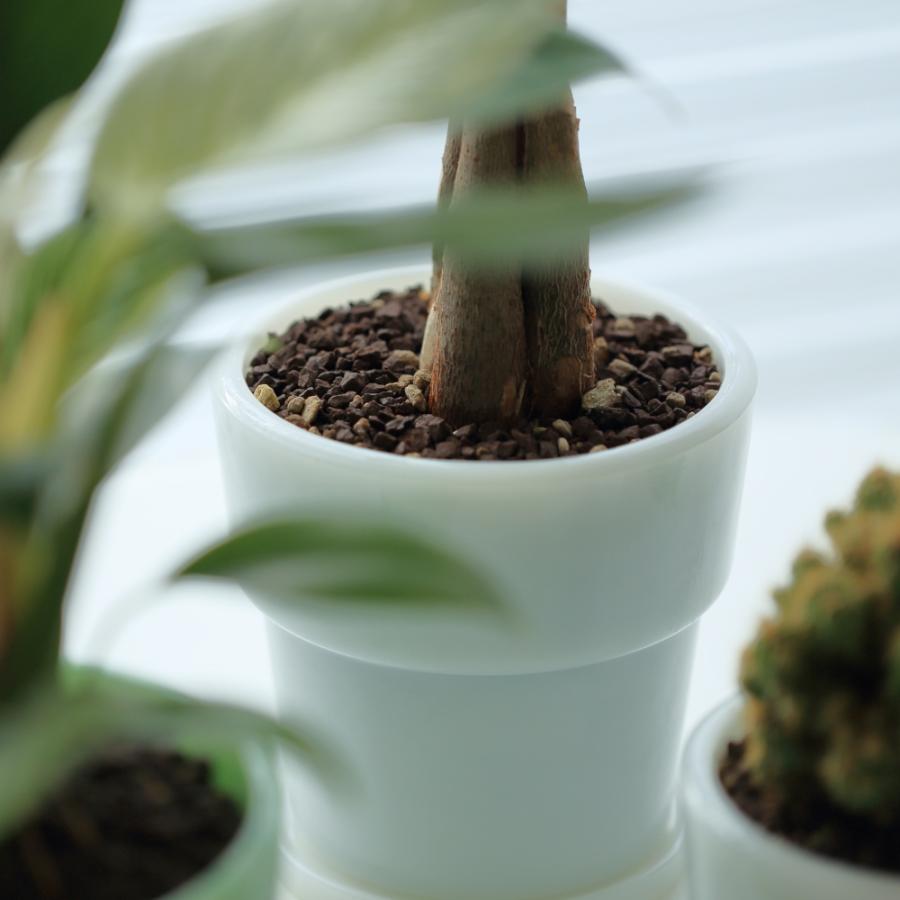 ideaco イデアコ ミルクガラス プランターポット 4号 鉢 受け皿付き | ブランド登録なし | 15