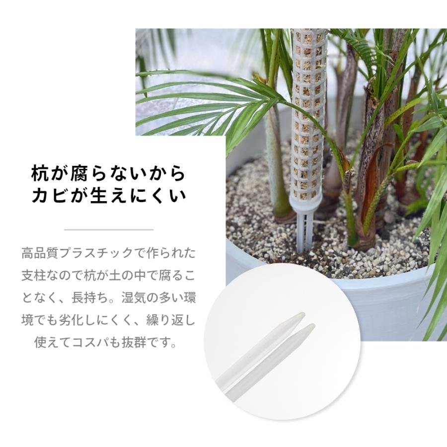 モスポール 支柱 植物支柱 園芸支柱 土台 つる性植物 園芸 観葉植物